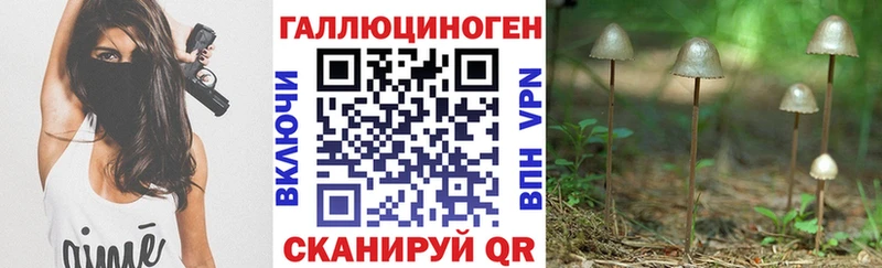 Псилоцибиновые грибы GOLDEN TEACHER хочу наркоту Якутск